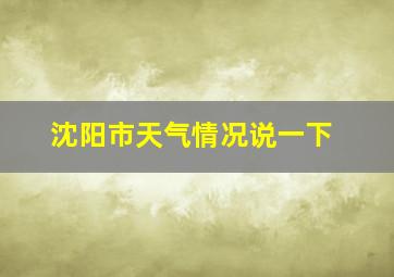 沈阳市天气情况说一下