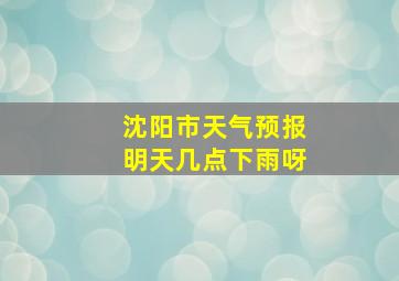 沈阳市天气预报明天几点下雨呀