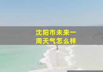 沈阳市未来一周天气怎么样