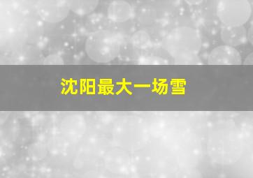 沈阳最大一场雪