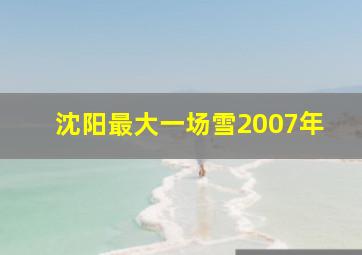 沈阳最大一场雪2007年