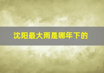 沈阳最大雨是哪年下的