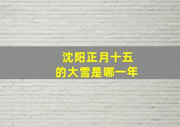 沈阳正月十五的大雪是哪一年