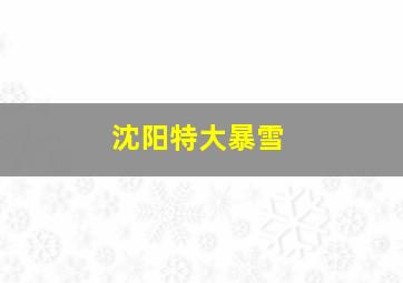 沈阳特大暴雪