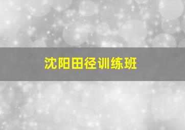 沈阳田径训练班