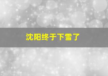 沈阳终于下雪了