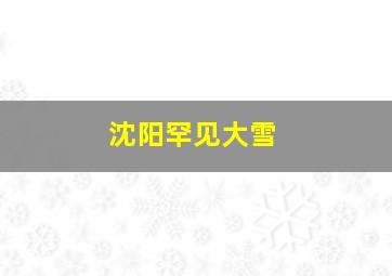 沈阳罕见大雪