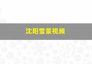 沈阳雪景视频