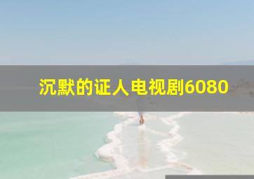 沉默的证人电视剧6080