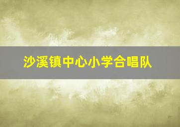 沙溪镇中心小学合唱队