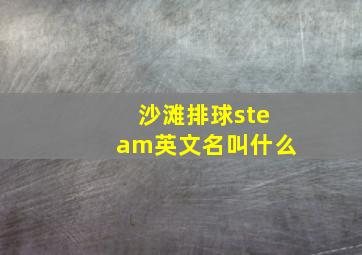 沙滩排球steam英文名叫什么