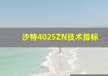 沙特4025ZN技术指标