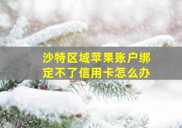 沙特区域苹果账户绑定不了信用卡怎么办