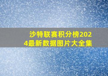 沙特联赛积分榜2024最新数据图片大全集