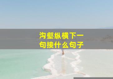 沟壑纵横下一句接什么句子