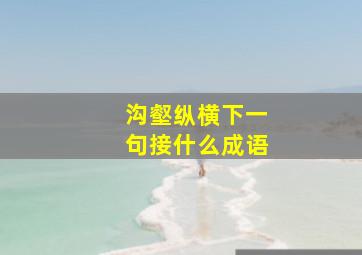 沟壑纵横下一句接什么成语