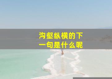 沟壑纵横的下一句是什么呢