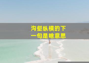 沟壑纵横的下一句是啥意思