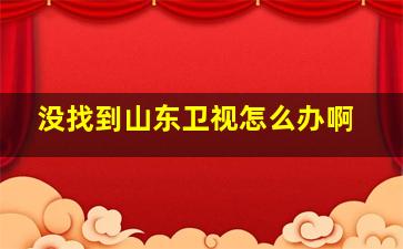 没找到山东卫视怎么办啊