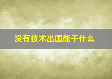 没有技术出国能干什么