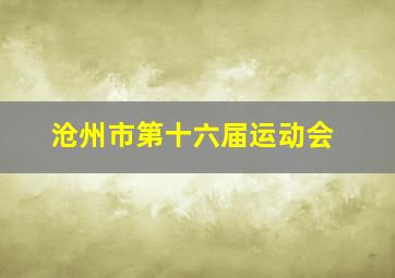 沧州市第十六届运动会