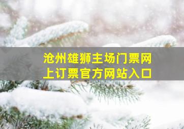 沧州雄狮主场门票网上订票官方网站入口