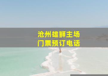 沧州雄狮主场门票预订电话