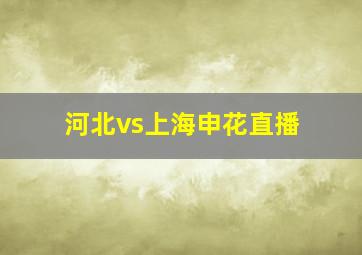 河北vs上海申花直播