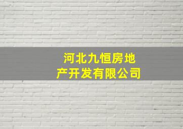 河北九恒房地产开发有限公司