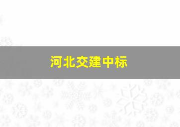 河北交建中标