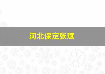 河北保定张斌