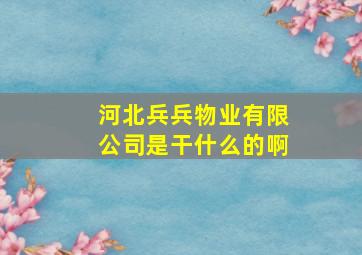 河北兵兵物业有限公司是干什么的啊