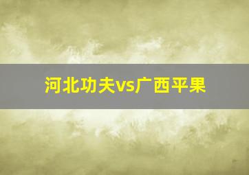 河北功夫vs广西平果