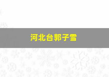 河北台郭子雪