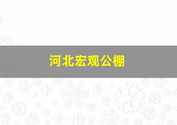 河北宏观公棚