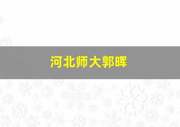 河北师大郭晖