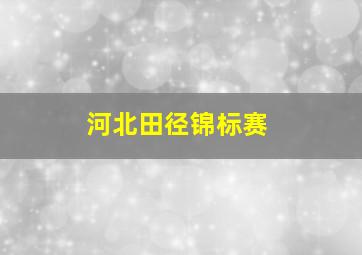 河北田径锦标赛