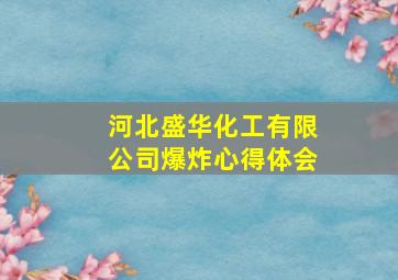 河北盛华化工有限公司爆炸心得体会