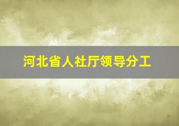 河北省人社厅领导分工