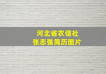 河北省农信社张志强简历图片