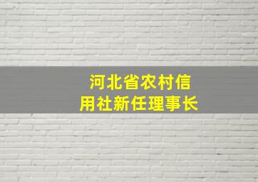 河北省农村信用社新任理事长