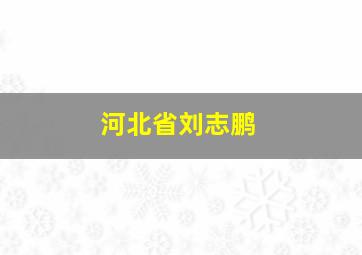 河北省刘志鹏