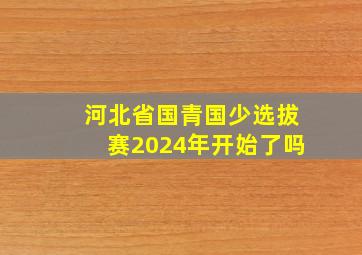 河北省国青国少选拔赛2024年开始了吗