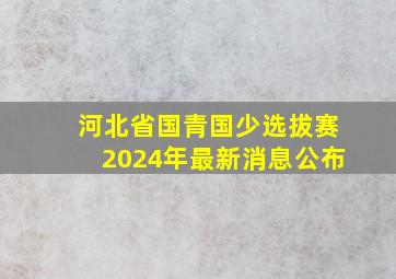 河北省国青国少选拔赛2024年最新消息公布