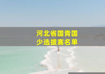 河北省国青国少选拔赛名单