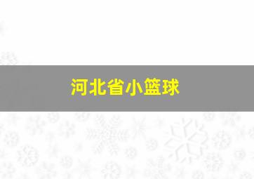 河北省小篮球