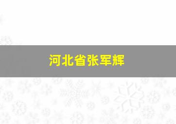 河北省张军辉