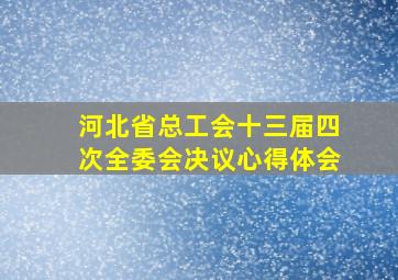 河北省总工会十三届四次全委会决议心得体会