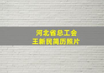 河北省总工会王新民简历照片