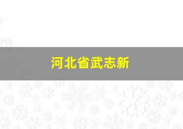 河北省武志新